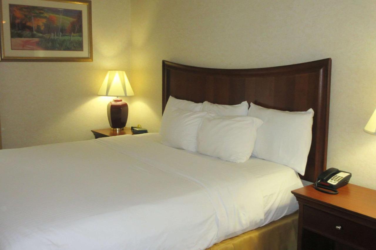 Quality Inn & Suites Owego Extérieur photo